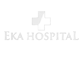 Logo ekahospital.com
